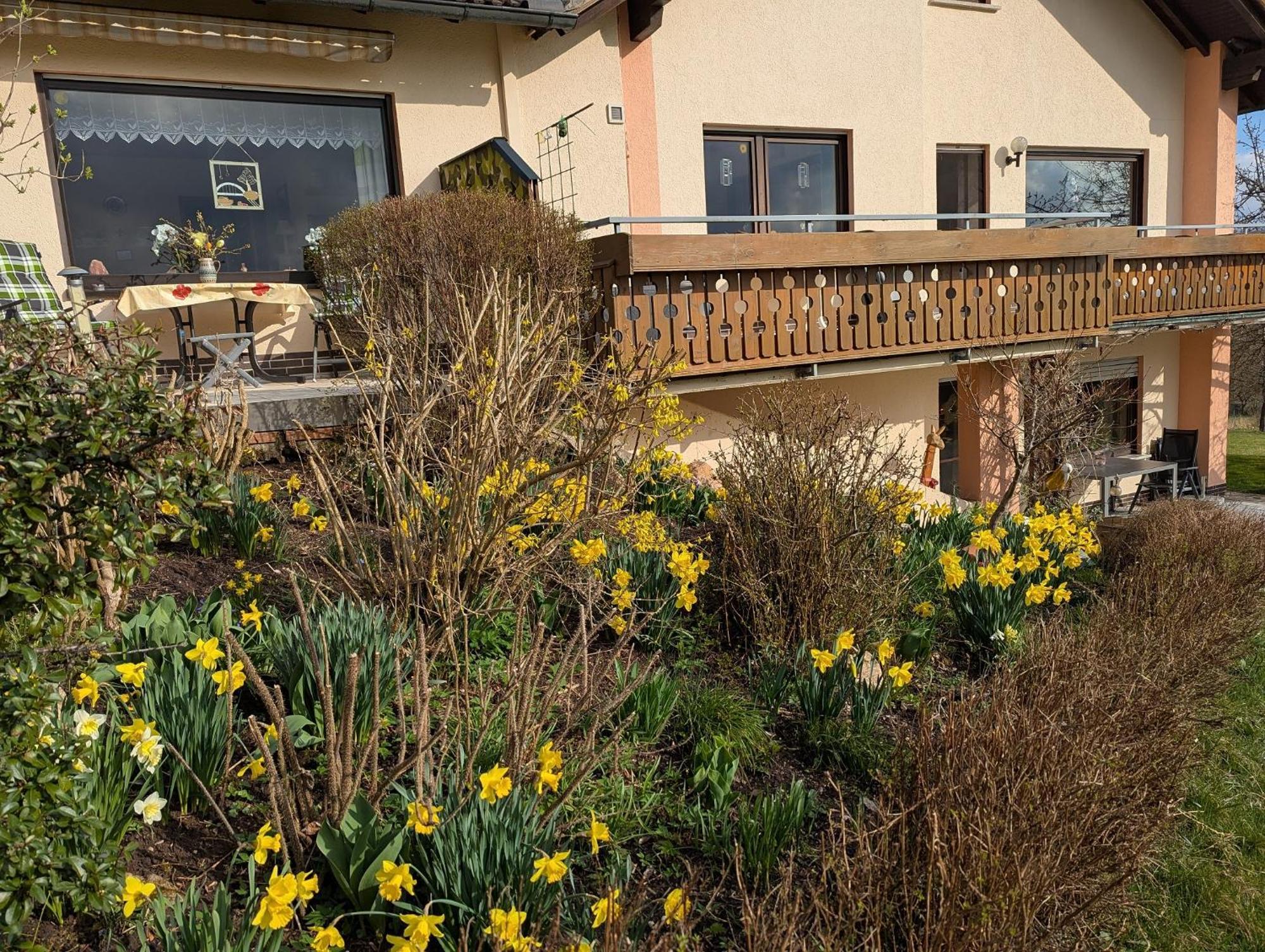 Mueller'S Ferienwohnungen Rödental Exterior foto